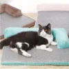 Cama perro y gatos