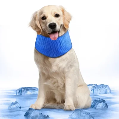 Bandana refrescante para perros